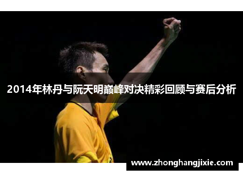 2014年林丹与阮天明巅峰对决精彩回顾与赛后分析